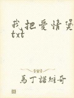 我把爱情煲成汤txt