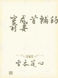 穿成首辅的炮灰前妻