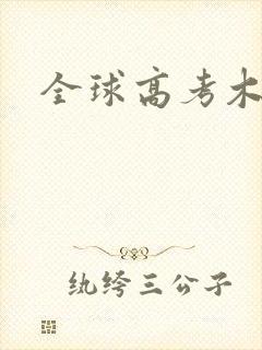 全球高考木苏里