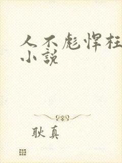 人不彪悍枉少年小说