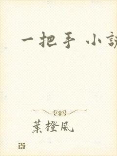 一把手 小说
