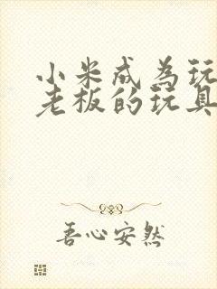 小米成为玩具店老板的玩具