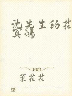 沈先生的花式调冥鸿