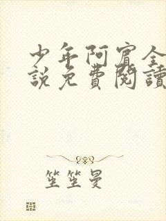 少年阿宾全文小说免费阅读笔趣阁