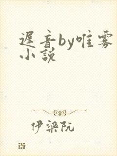 迟音by唯雾的小说