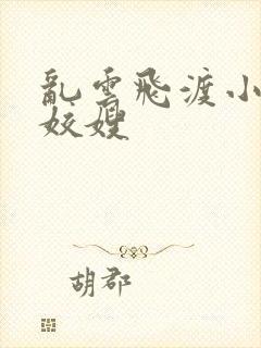 乱云飞渡小说之姣嫂