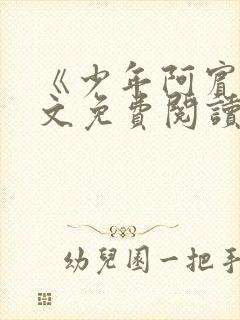 《少年阿宾》全文免费阅读