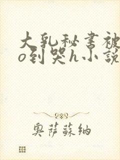 大乳秘书被cao到哭h小说