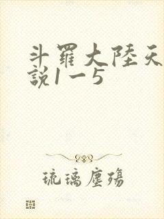 斗罗大陆天狂传说1一5