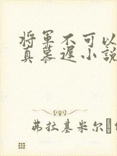 将军不可以魏云真慕迟小说笔趣阁