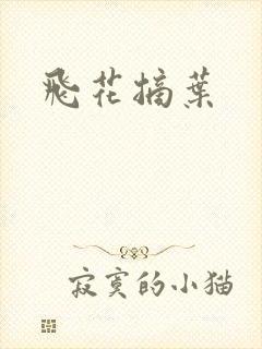 飞花摘叶