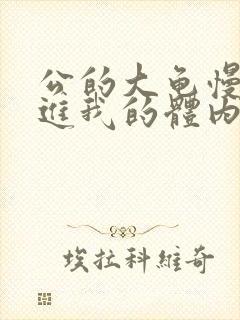 公的大龟慢慢挺进我的体内视频