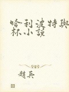 哈利波特与火焰杯小说