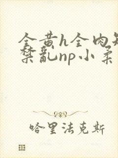 全黄h全肉短篇禁乱np小柔