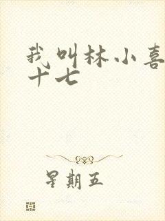 我叫林小喜今年十七