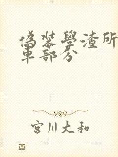 伪装学渣所有开车部分