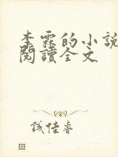 李霖的小说免费阅读全文