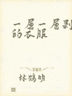 一层一层剥开你的衣服