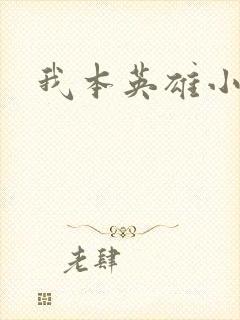 我本英雄小说