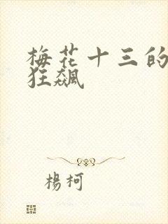 梅花十三的乳液狂飙