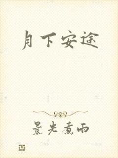 月下安途
