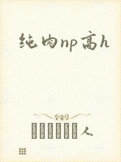 纯肉np高h