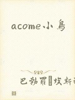 acome小鸟