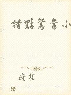 错点鸳鸯小说