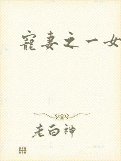 宠妻之一女二夫