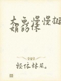 大龟慢慢挺进张娟的休