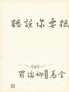 听说你要抵抗我