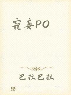 宠妾PO