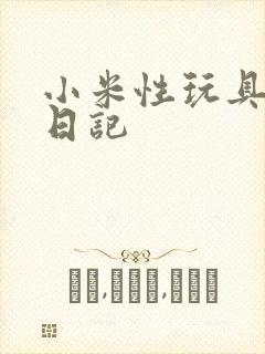 小米性玩具羞辱日记