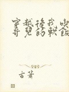 穿越后我吃到了哥儿的软饭炉山灰