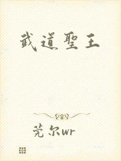 武道圣王