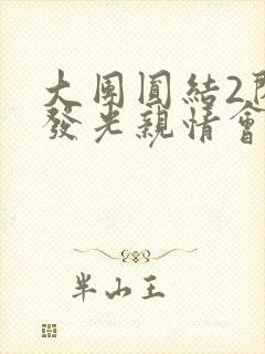 大团圆结2闪闪发光亲情会