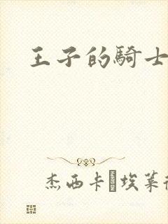 王子的骑士小说