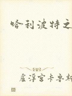 哈利波特之守护