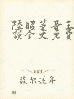 陆昭菱晋王的小说全文免费阅读