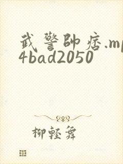 武警帅痞.mp4bad2050