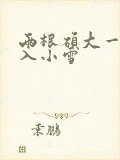 两根硕大一起挤入小雪