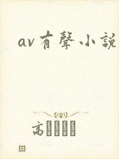av有声小说