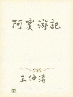 阿宾游记