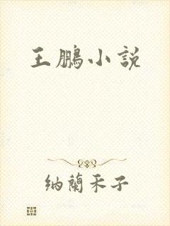 王鹏小说
