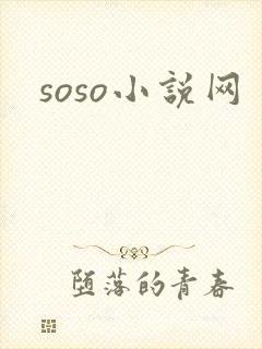 soso小说网