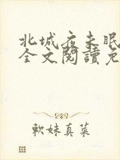 北城夜未眠小说全文阅读免费