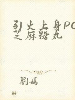 引火上身POP芝麻糖丸