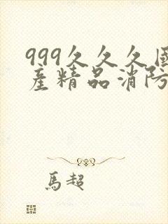 999久久久国产精品消防器材