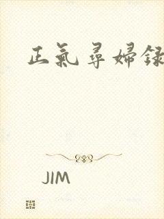 正气寻妇录