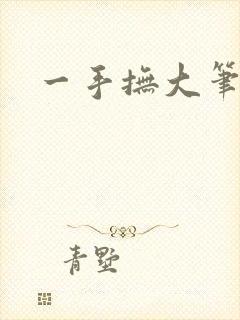 一手抚大笔趣阁